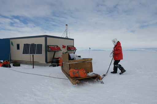 Campbell seconds before walking into the skidoo. (click to enlarge)