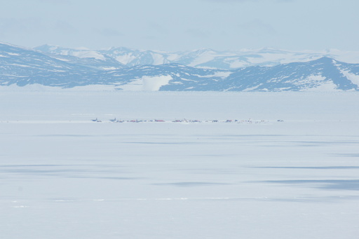 A distant view of the Pegasus runway from near Gray Dome. Close inspection reveals a couple of LC-130s (ski-equipped Hercules aircraft) on the left. (click to enlarge)