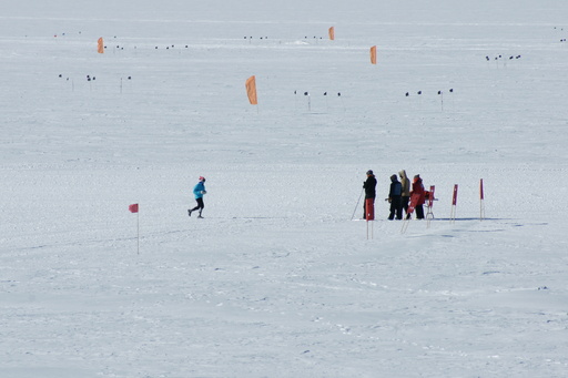 A woman just completing the half-marathon. The four people cheering her on are manning a drink station. (click to enlarge)