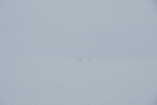 White out conditions. Somewhere in the middle of the photo is the boundary between the snow and the sky. The black rectangles are skiway markers. (click to enlarge)