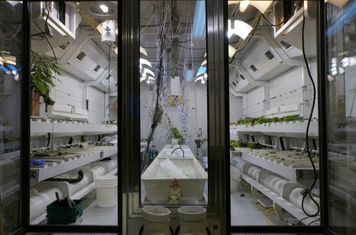 The South Pole greenhouse. (click to enlarge)