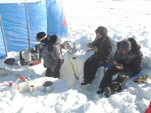Loomy cooking up a storm in the kitchen at Ridge A. The tarpaulin stops the gentle, but exceedingly cold, wind. CREDIT: Luke Bycroft. (click to enlarge)